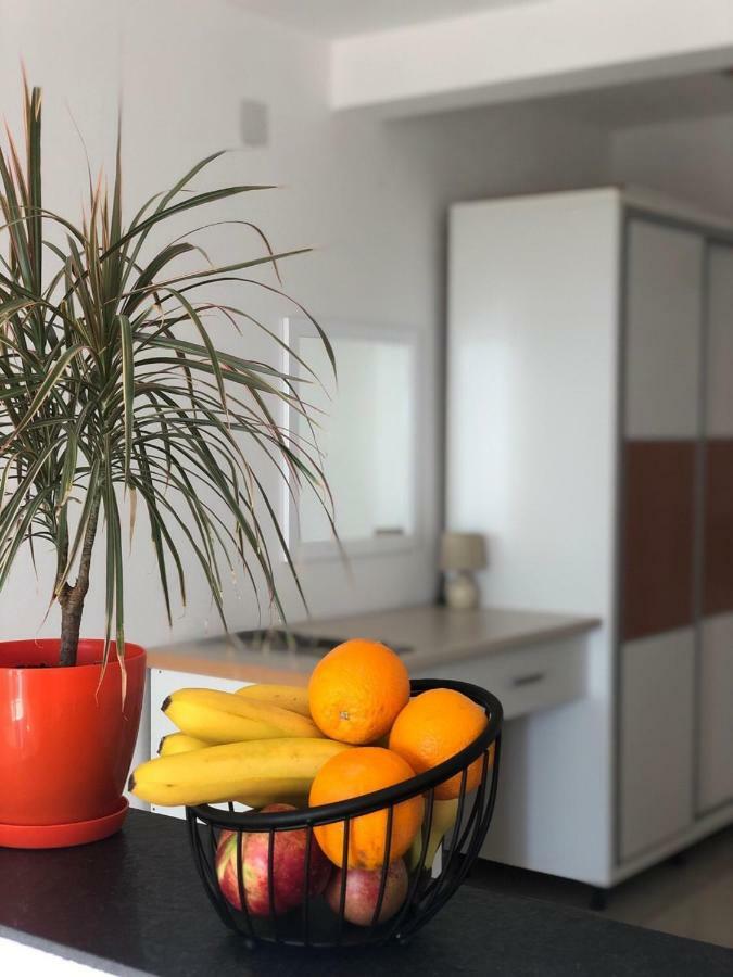 Apartmani Dini 울친 외부 사진