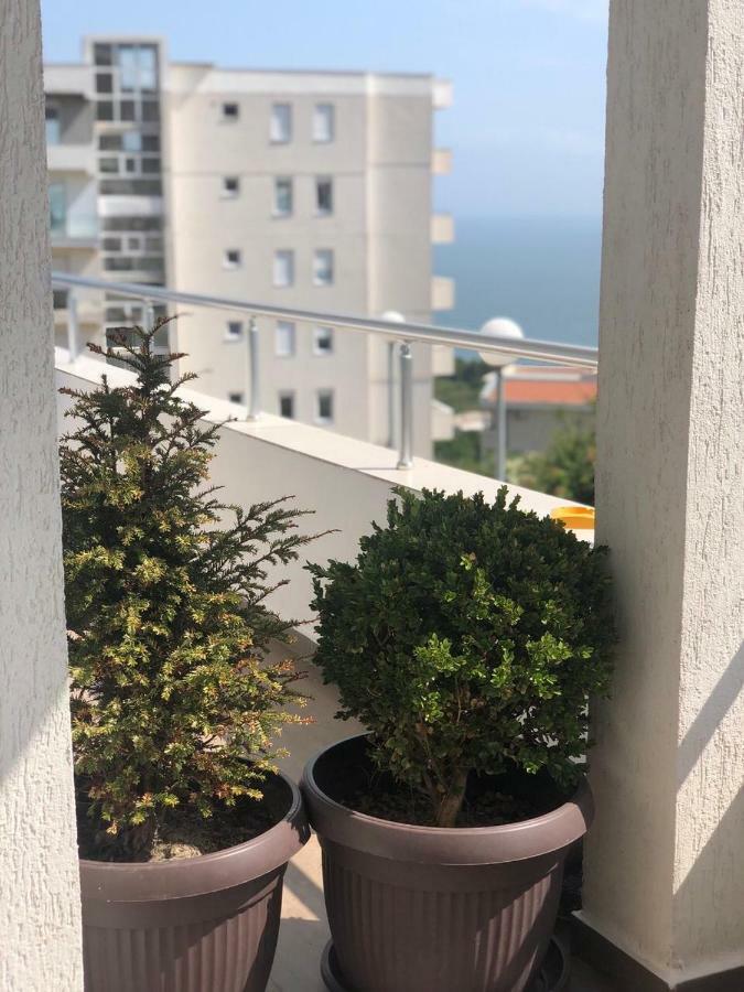Apartmani Dini 울친 외부 사진